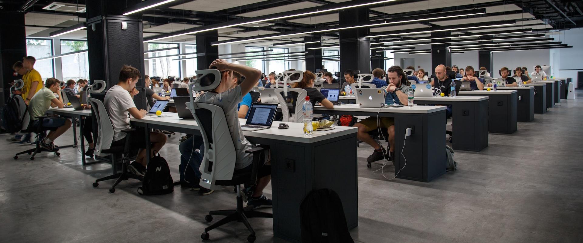 people doing office works